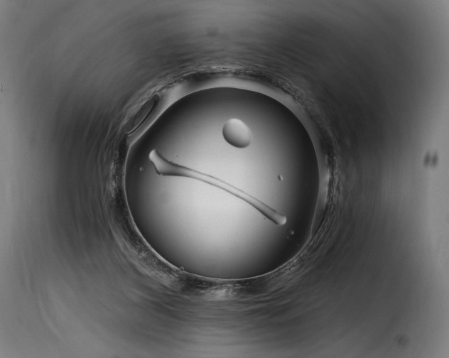 X0000116160116200911231414