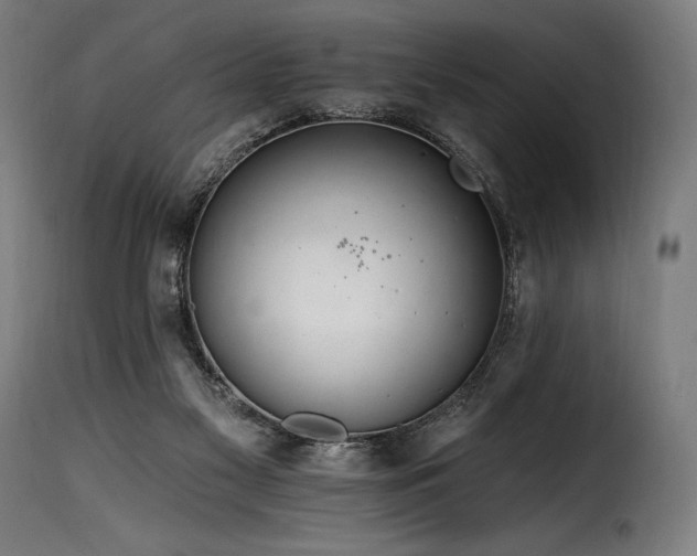 X0000116160117200911231414