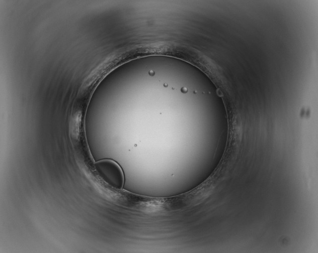 X0000116160118200911231414