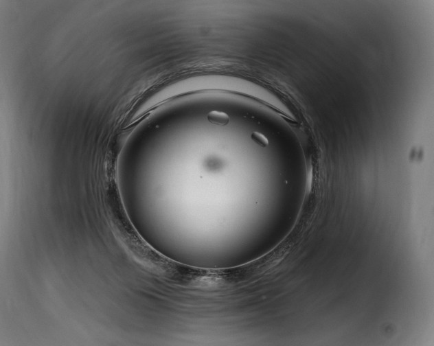 X0000116160119200911231414