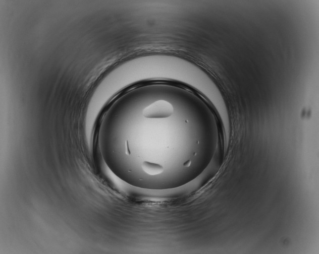 X0000116160120200911231414