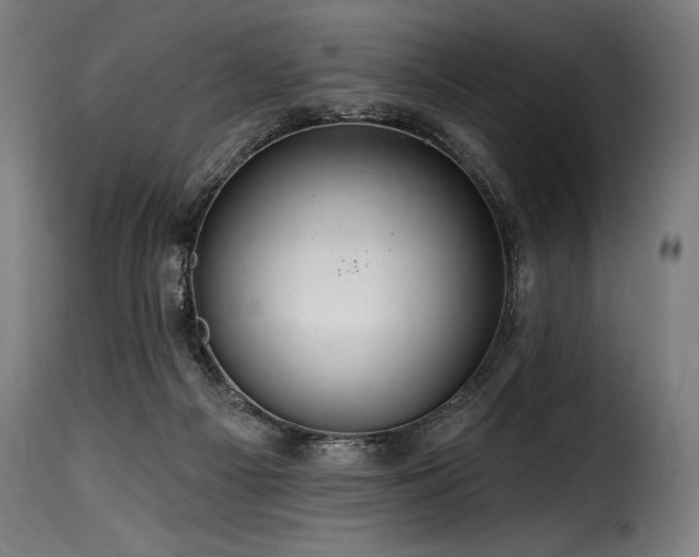 X0000116160121200911231414