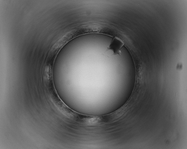 X0000116160122200911231414