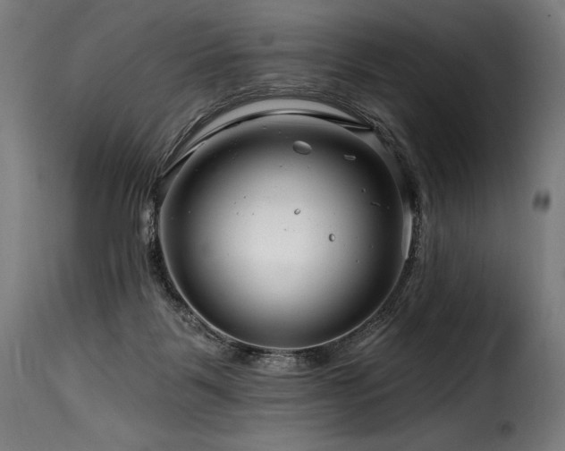 X0000116160123200911231414