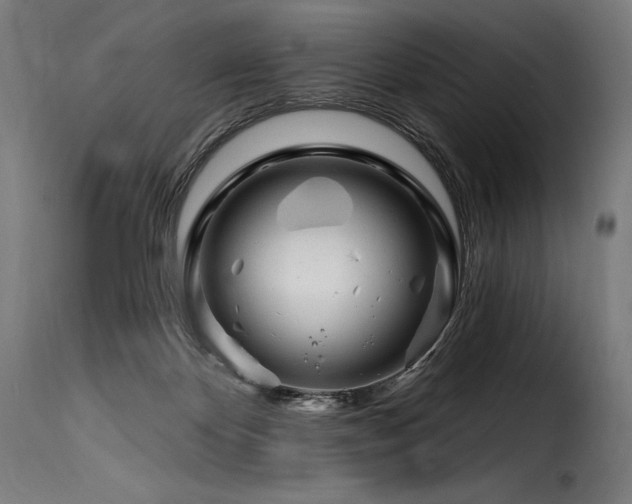 X0000116160124200911231414