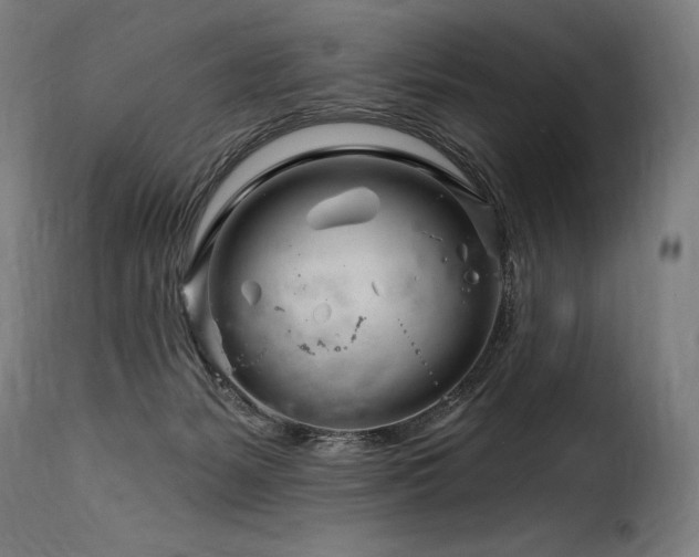 X0000116160127200911231414