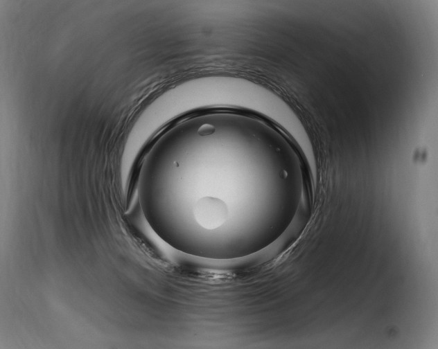 X0000116160128200911231414