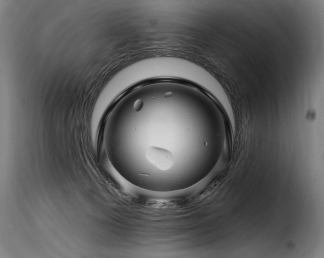 X0000116160129200911231414