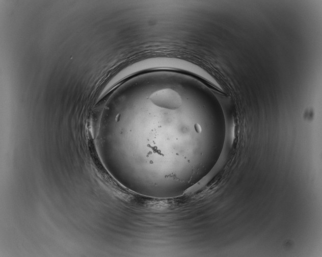 X0000116160131200911231414