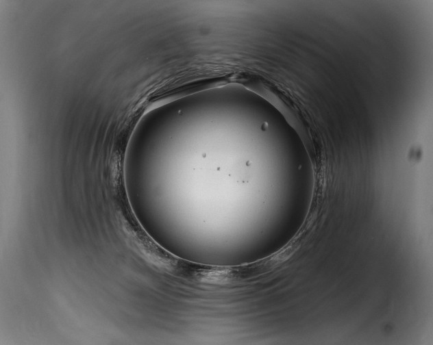 X0000116160132200911231414