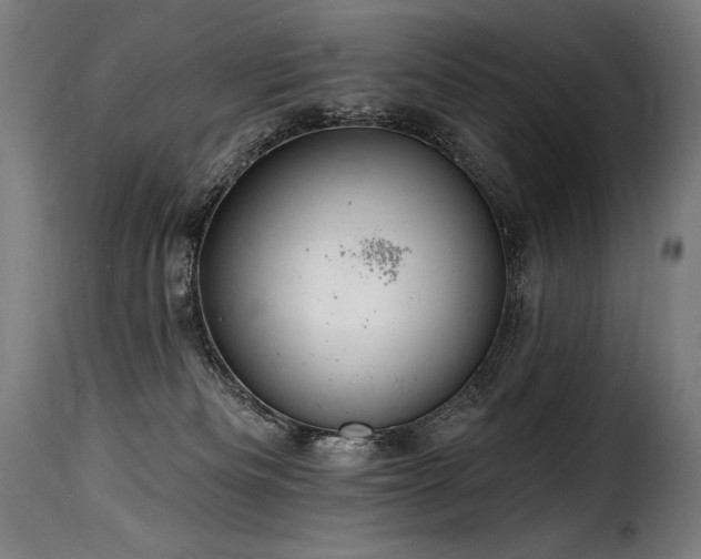 X0000116160133200911231414