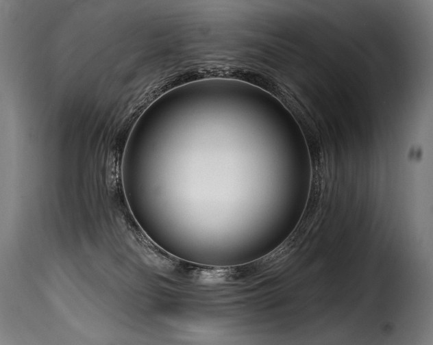 X0000116160134200911231414