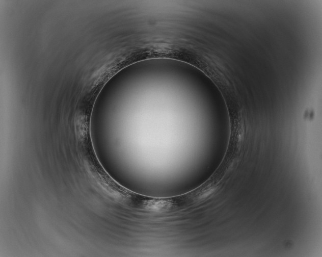 X0000116160135200911231414