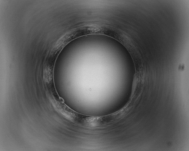 X0000116160136200911231414