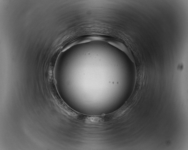 X0000116160137200911231414