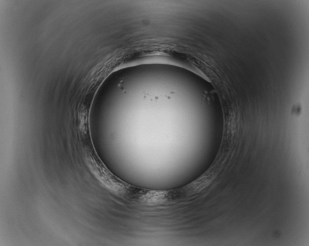 X0000116160138200911231414