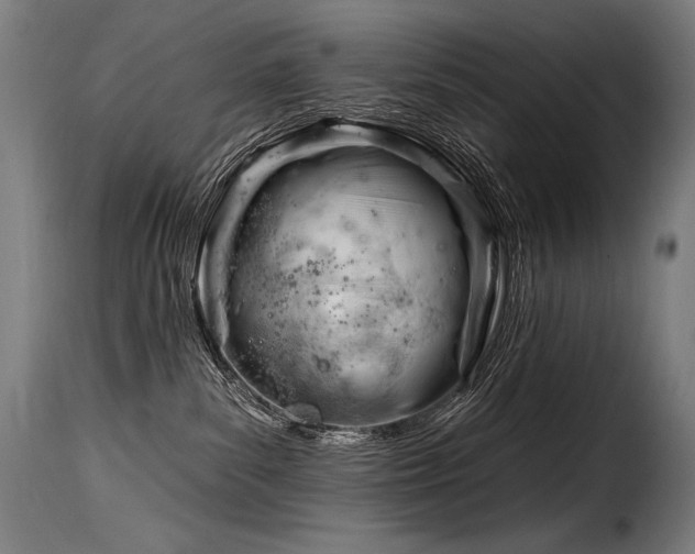 X0000116160139200911231414