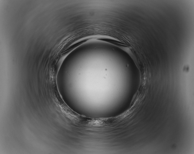 X0000116160140200911231414