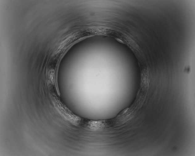 X0000116160141200911231414