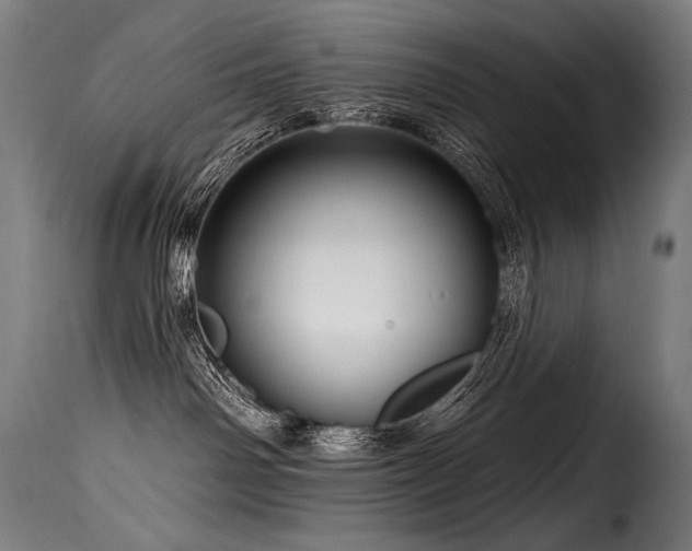 X0000116160142200911231414