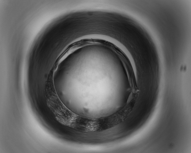 X0000116160143200911231414