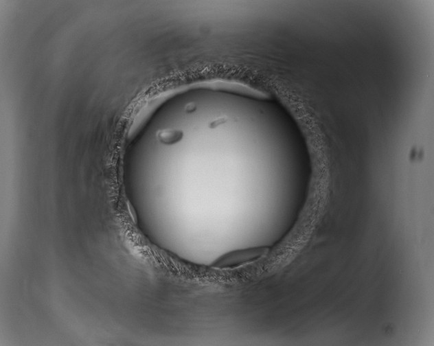 X0000116160144200911231414