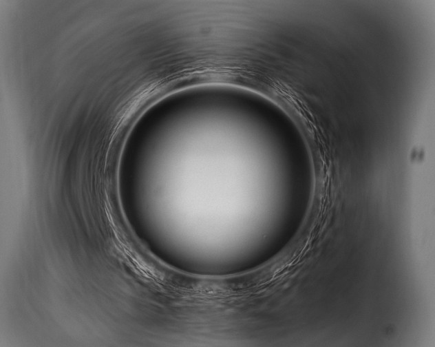 X0000116160145200911231413