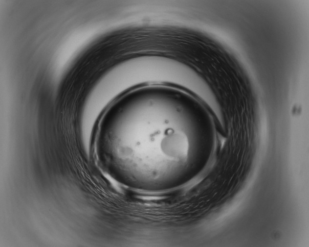 X0000116160146200911231413