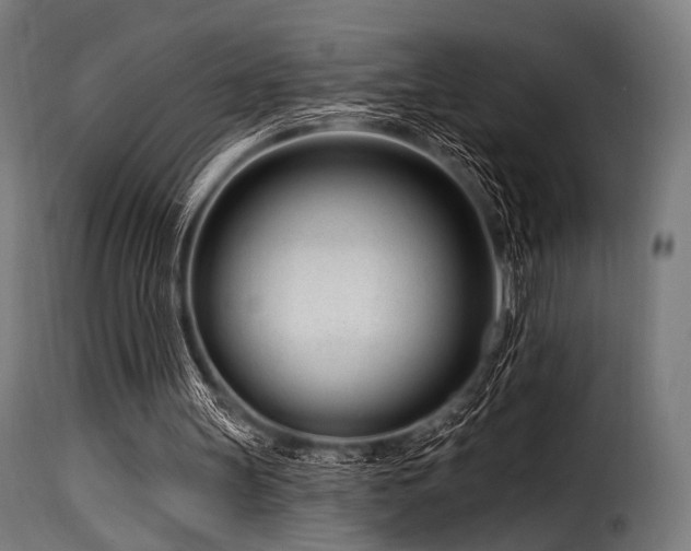 X0000116160147200911231413