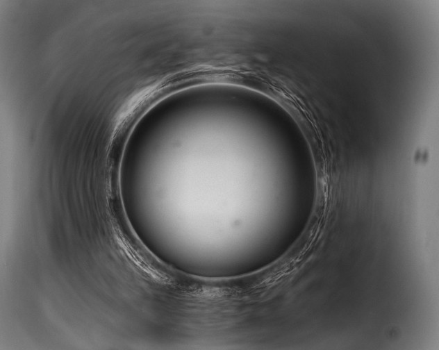 X0000116160149200911231413