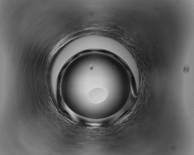 X0000116160150200911231413