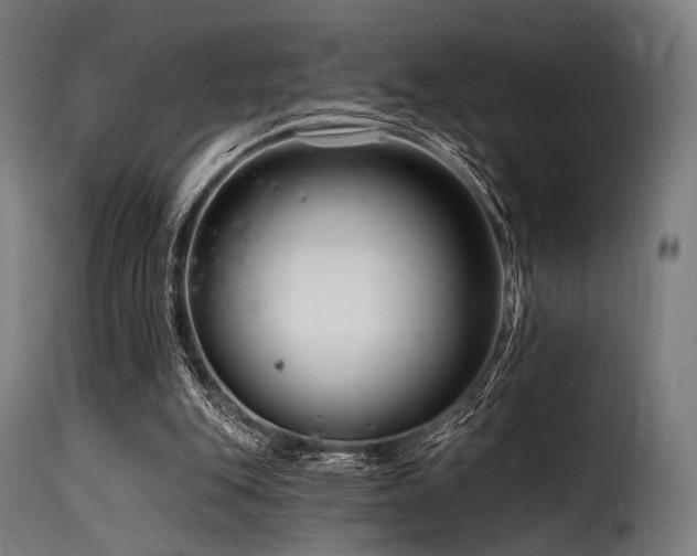 X0000116160151200911231413