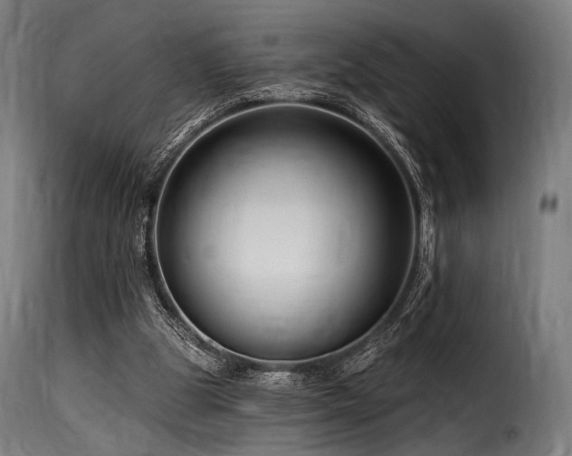 X0000116160153200911231413