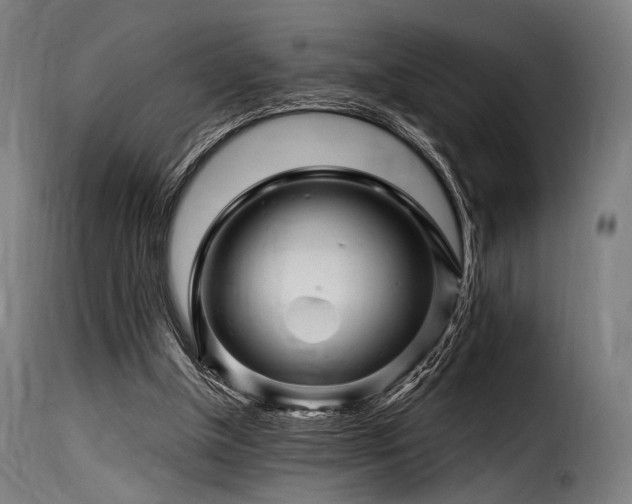 X0000116160154200911231413