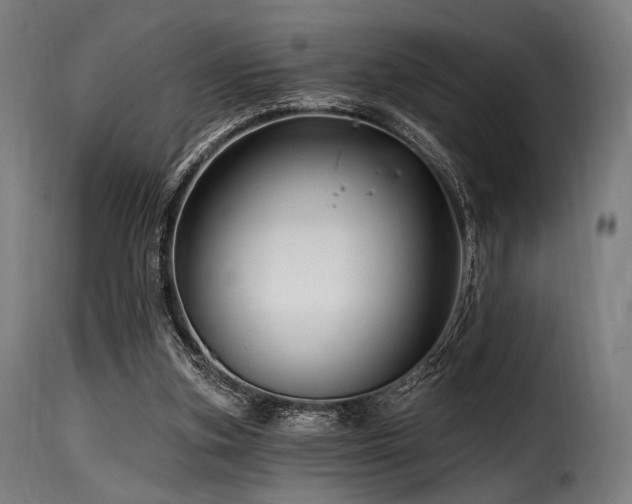 X0000116160155200911231413