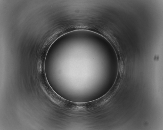 X0000116160157200911231413