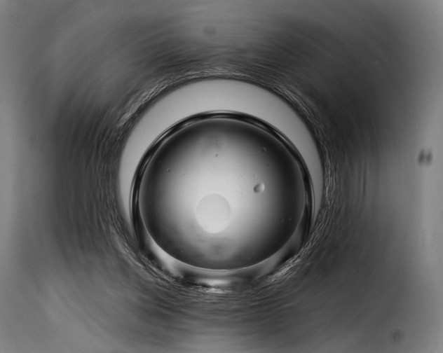 X0000116160158200911231413