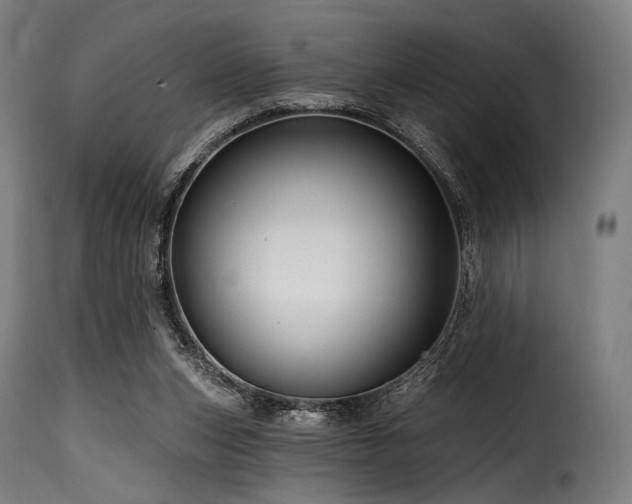 X0000116160159200911231413