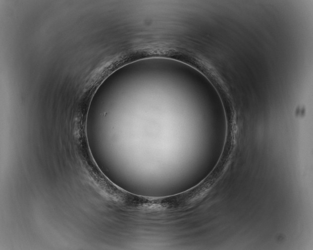 X0000116160161200911231413