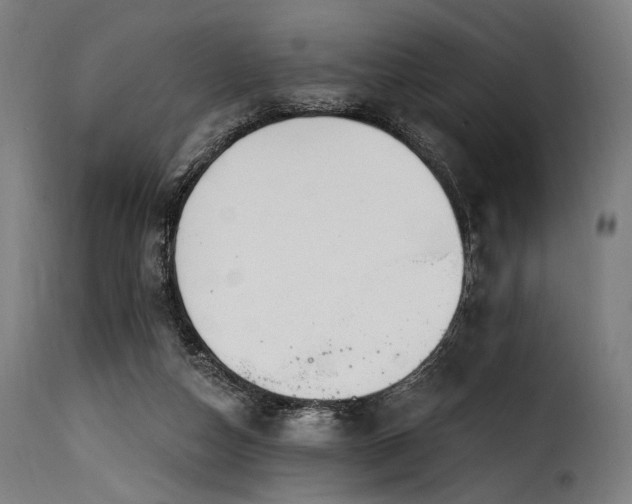 X0000116160162200911231413