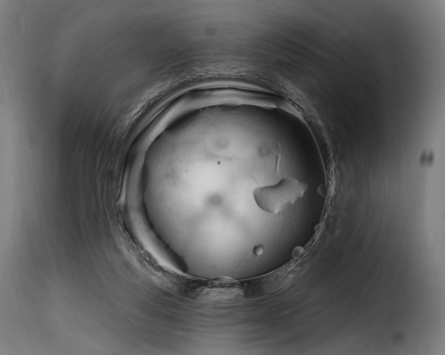 X0000116160163200911231413