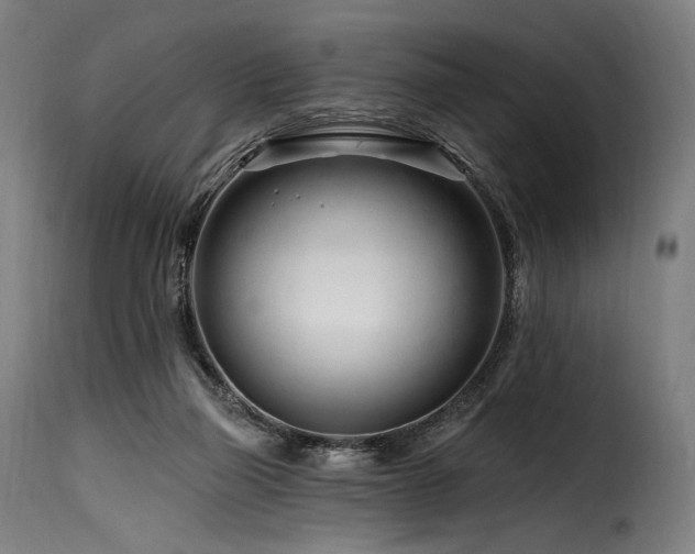 X0000116160165200911231413