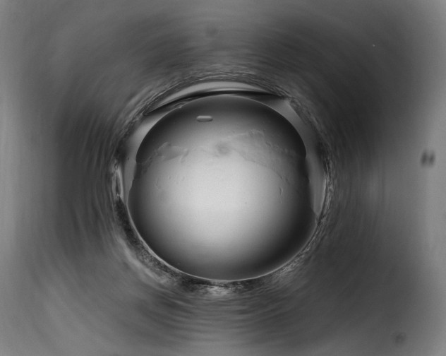 X0000116160166200911231413