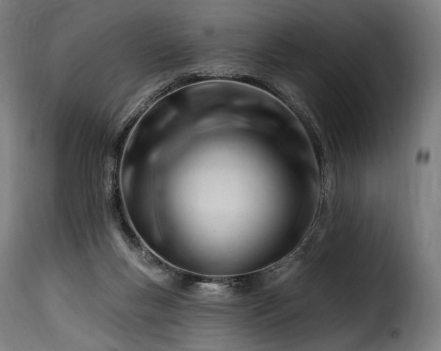 X0000116160167200911231413