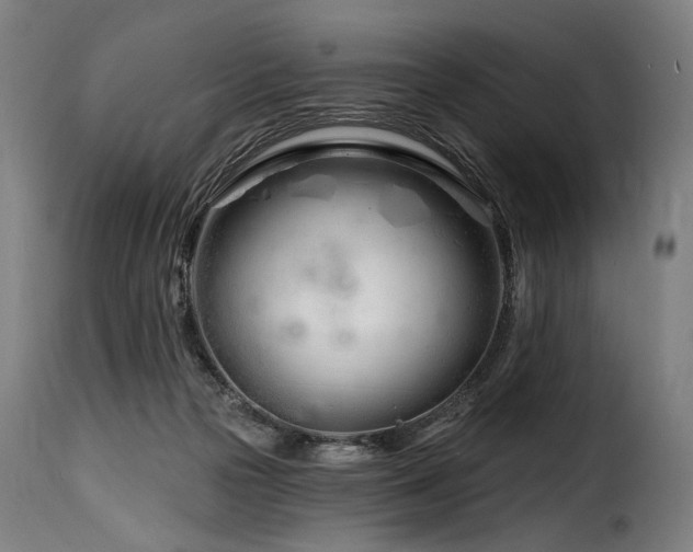 X0000116160169200911231413