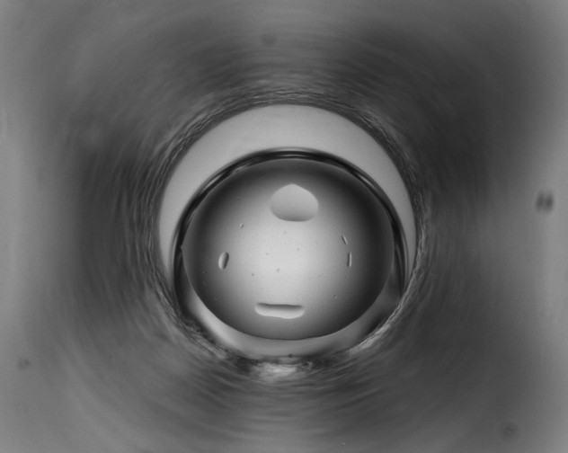 X0000116160170200911231413