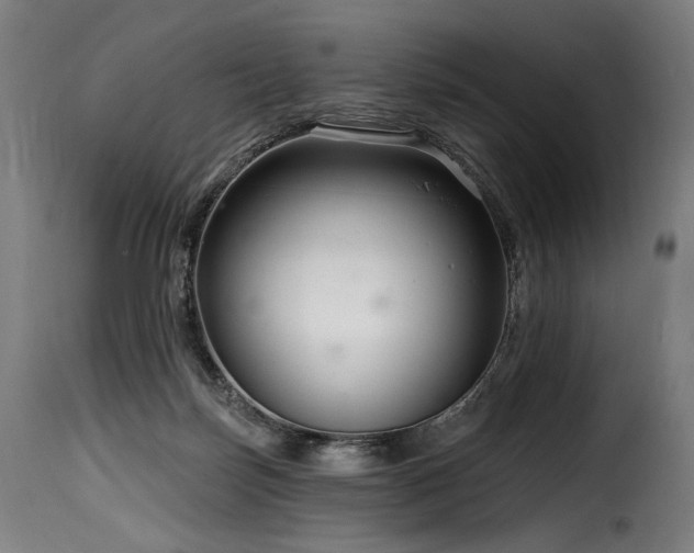 X0000116160171200911231413