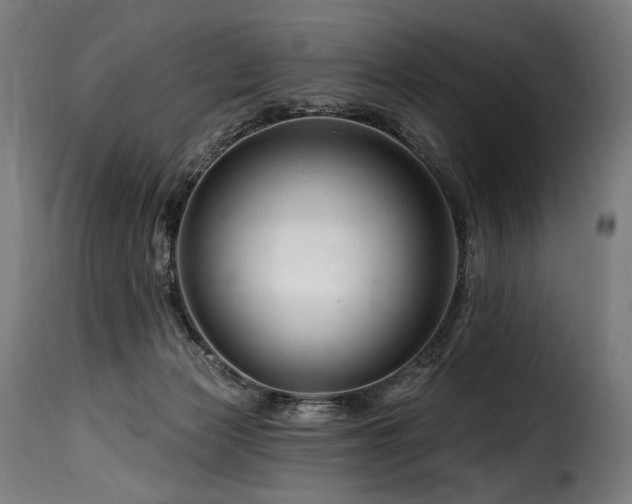 X0000116160173200911231413