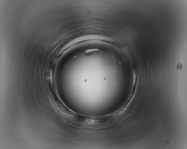 X0000116160174200911231413