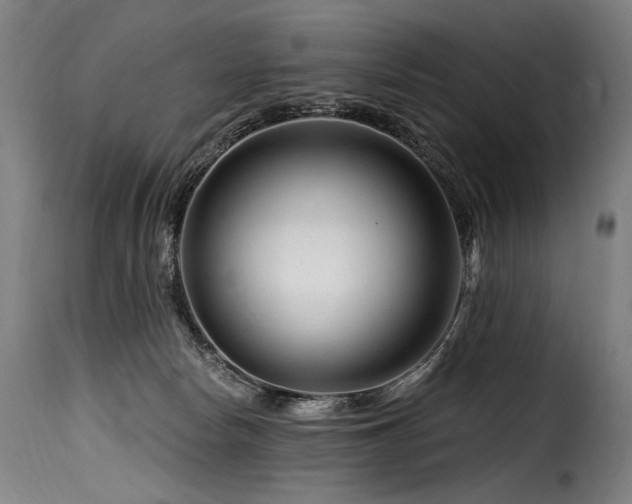 X0000116160178200911231413